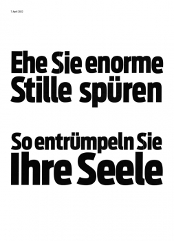https://www.patricksteffen.ch/files/gimgs/th-19_Schattenmann_S3_v2.jpg