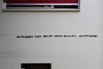 https://www.patricksteffen.ch/files/gimgs/th-19_bullen_v2.jpg